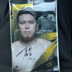 RIZINウエハース'25 No.07 上田幹雄