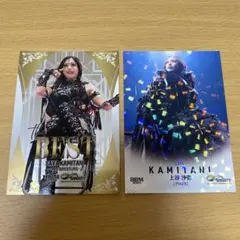 上谷沙弥 2枚セット インサート the BEST レギュラー(キラカード版)