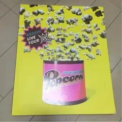 嵐 popcorn コンサート パンフレット