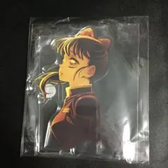 劇場版 鬼滅の刃 無限城編 キービジュアルアクリルスタンド 栗花落カナヲ