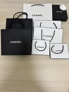 CHANEL ショップ袋と封筒セット　美品