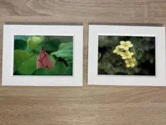 Item thumbnail for item da22a187-e723-4272-8f09-bc2faa0b8dd8