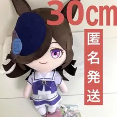 ライスシャワー ウマ娘 プリティーダービー 巨大ぬいぐるみ Vol.4 1013