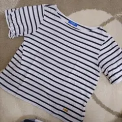 BLUE LABEL CRESTBRIDGE ストライプTシャツ 38