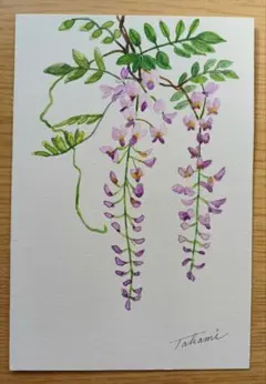 タムタム様 リクエスト 2点 まとめ商品