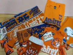 アルビレックス新潟 応援グッズ まとめ売り