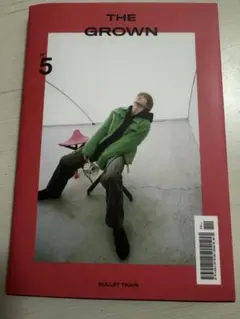 THE GROWN No.5 BULLET TRAIN