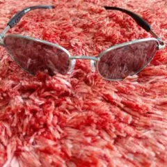 FreeStyle オーバルサングラス グレー