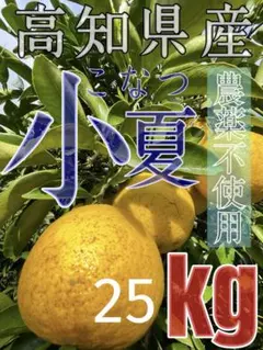 採れたて！高知県産 農薬不使用 小夏25kg 採れたて！高知県産 農薬不使用 小夏25kg - メルカリ