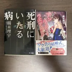 櫛木理宇 小説 2冊セット 死刑にいたる病 アンハッピー・ウエディング