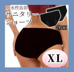 ✽ サニタリーショーツ 2枚組 XL 吸水 生理 ショーツ 下着 生理用品 ✽