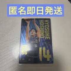 B.LEAGUEツインウエハース星野京介選手