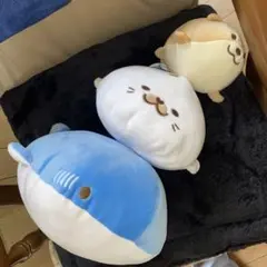 海遊館　ぬいぐるみのサムネイル