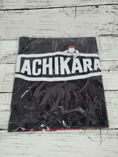 期間限定PICKUP PLAYGROUND×TACHIKARA BALLSAC