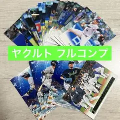 東京ヤクルトスワローズ 2025 BBM 2nd コンプリートセット 25枚