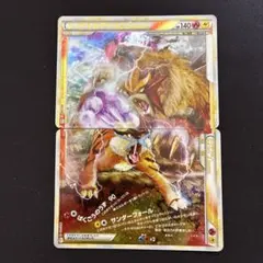 エンテイ　＆　ライコウ　LEGEND　レジェンド　伝説　上　下　2枚　セット エンテイ ＆ ライコウ LEGEND レジェンド 伝説 上 下 2枚 セット