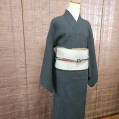 2026年最新】紬着物裄68の人気アイテム - メルカリ