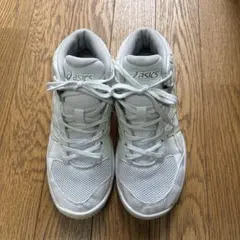 asics ダンクショット　バスケットボールシューズ ホワイト