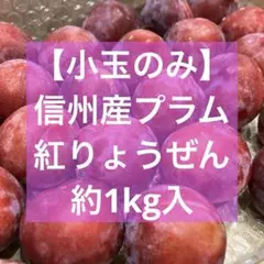 【小玉のみ】信州産プラム 紅りょうぜん　約1kg入のサムネイル