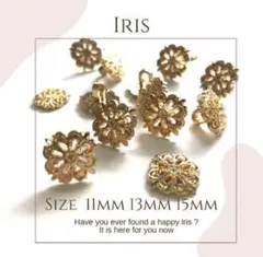 アイリス ボタン