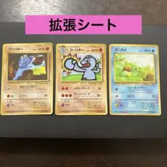 ワンリキー　ゴーリキー　ゼニガメ 旧裏　拡張シート　まとめ　おまけ付き