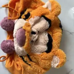 【美品】ティガーのファンキャップ