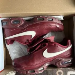 Nike Air Max Plus Tiempo