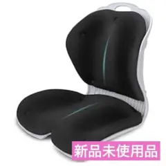 EAVY LW ランバーサポート 骨盤サポート 椅子 クッション 5段階角度