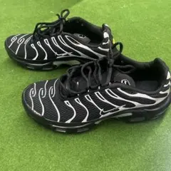 Item thumbnail for item 8b37bee9-7b55-4a27-a191-13c9113fac41