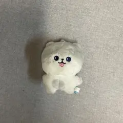 funny treasure ジフン　ぬいぐるみ