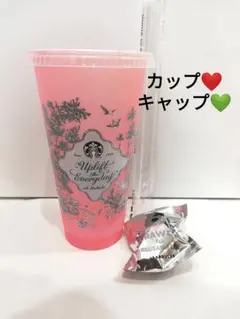 スターバックス 2026 ミステリーカラーチェンジング カップピンク・キャップ緑