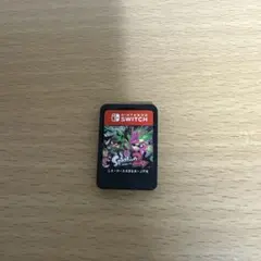 switch ソフトのみ