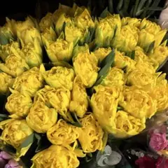 いくこっこ様 リクエスト 3点 まとめ商品