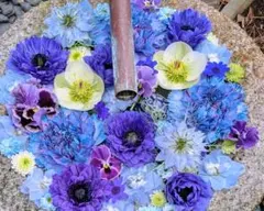 Stein様 リクエスト 3点 まとめ商品