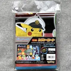 スケーター ポケットモンスターレジャーシート 60×90cm