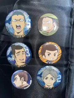 2025年最新】菅原孝支 缶バッジ まとめ売りの人気アイテム