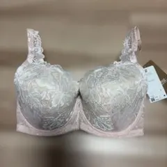 Wing Lesiage ブラジャー F65 ピンクのサムネイル