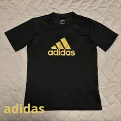 adidas トレーニングウェア ゴールド Mサイズ