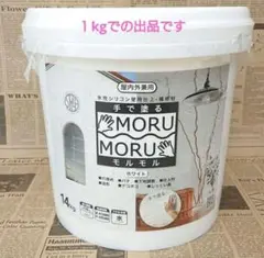 ✨モルモル塗料✨１kg リメイク鉢 リメ鉢 モルタル鉢 壁用塗料