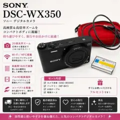 SONYDSC-WX350 Panasonic HDC-TM45 デジタルカメラ - メルカリ
