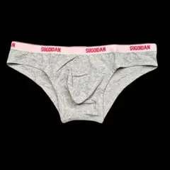 SUGOIDAN ローライズビキニ　グレー　Lサイズ