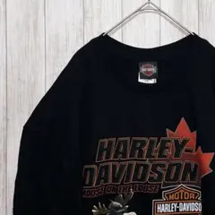 【人気・オーバーサイズ・希少】ハーレーダビッドソン 半袖 Tシャツ 2XLのサムネイル