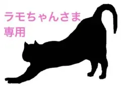 ★ラモちゃんさま専用★