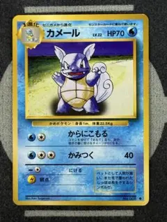 【10点2500円引き】第1弾　カメール