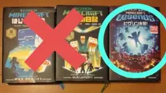 専用Minecraft 児童書
