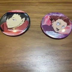ハイキュー缶バッジセット