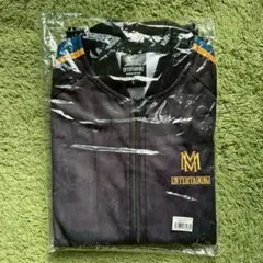 Item thumbnail for item bee65eba-799b-4691-ae70-2778071117a1