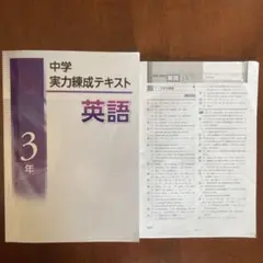 Item thumbnail for item 9a1e2eeb-d88b-4148-8b91-08917b649f7d