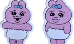 スシロー　おぱんちゅうさぎピック２枚セット