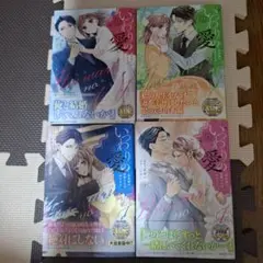コミック　いつわりの愛全4巻完結